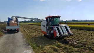 Gyonamjin님의 팜모닝 · 출석 작성글 사진