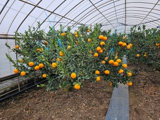 예준예성빠님의 함께 일하는 동료는 몇명인가요? · 참여글 작성글 사진