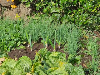 예준예성빠님의 함께 일하는 동료는 몇명인가요? · 참여글 작성글 사진