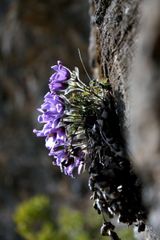 팜모닝 자유주제·자유게시판 게시글 이미지