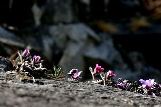 정경희님의 자유주제 · 자유게시판 작성글 사진