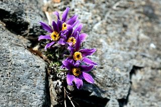 정경희님의 자유주제 · 자유게시판 작성글 사진