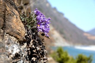 정경희님의 자유주제 · 자유게시판 작성글 사진