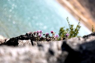 정경희님의 자유주제 · 자유게시판 작성글 사진