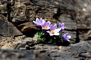 정경희님의 자유주제 · 자유게시판 작성글 사진