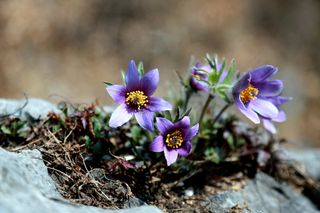 정경희님의 자유주제 · 자유게시판 작성글 사진