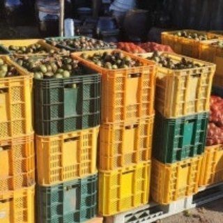 이명기님의 자유주제 · 자유게시판 작성글 사진