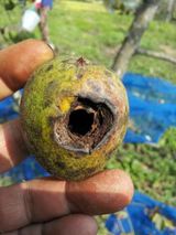 팜모닝 기타작물·자유게시판 게시글 이미지