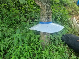 이명기님의 기타작물 · 자유게시판 작성글 사진