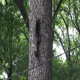 이명기님의 기타작물 · 자유게시판 작성글 사진