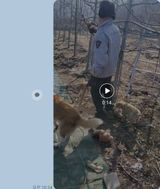 팜모닝 함께 일하는 동료는 몇명인가요?·참여글 게시글 이미지