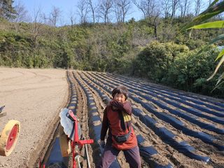 최종범님의 함께 일하는 동료는 몇명인가요? · 참여글 작성글 사진
