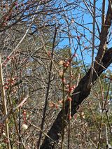 팜모닝 자유주제·자유게시판 게시글 이미지