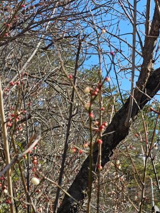 조순귀창원성산구사파님의 자유주제 · 자유게시판 작성글 사진