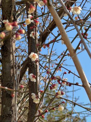 조순귀창원성산구사파님의 자유주제 · 자유게시판 작성글 사진