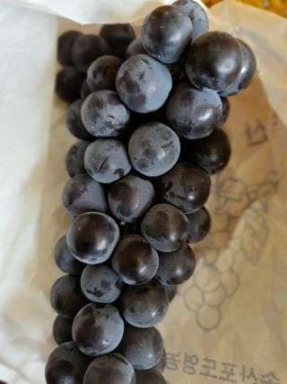 Ha4mam님의 함께 일하는 동료는 몇명인가요? · 참여글 작성글 사진