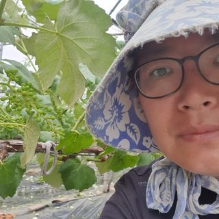 Ha4mam님의 함께 일하는 동료는 몇명인가요? · 참여글 작성글 사진