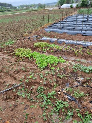 이은경님의 함께 일하는 동료는 몇명인가요? · 참여글 작성글 사진