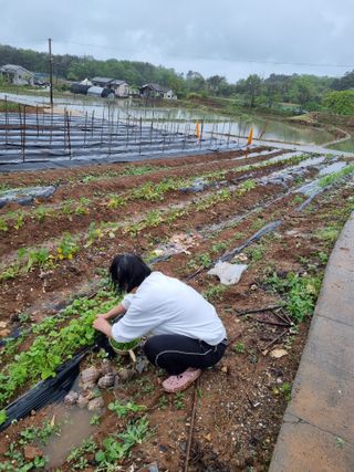 이은경님의 함께 일하는 동료는 몇명인가요? · 참여글 작성글 사진