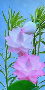 팜모닝 함께 일하는 동료는 몇명인가요?·참여글 게시글 이미지