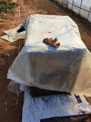 좋은인연원님의 자유주제 · 자유게시판 작성글 사진