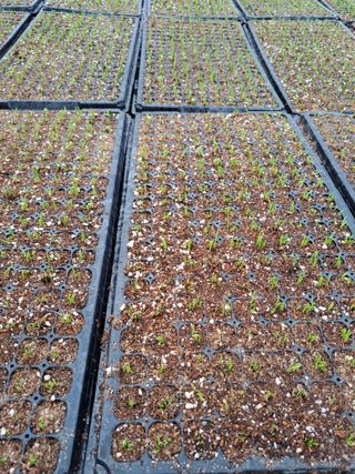 좋은인연원님의 자유주제 · 자유게시판 작성글 사진