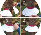 팜모닝 · 게시글 이미지