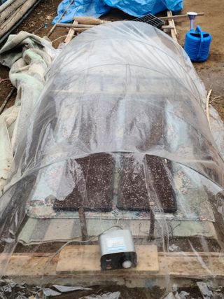 고춘석(고랑과이랑)님의 고추 · 파종•정식 작성글 사진