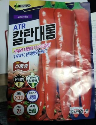 고춘석(고랑과이랑)님의 고추 · 파종•정식 작성글 사진