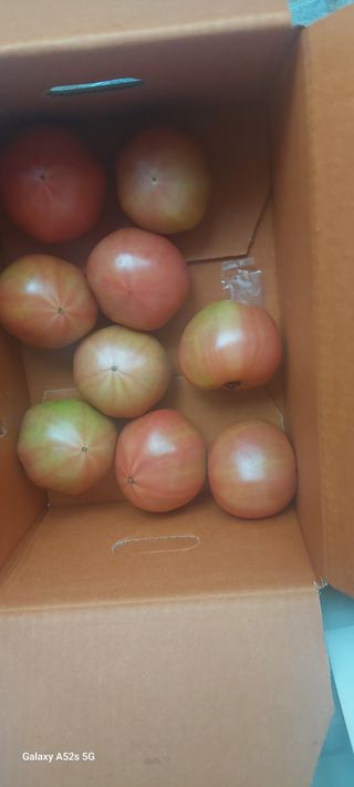 주말농장주님의 기타작물 · 자유게시판 작성글 사진