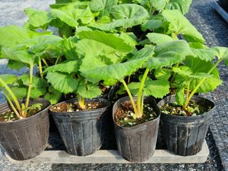 이명숙님의 기타작물 · 자유게시판 작성글 사진