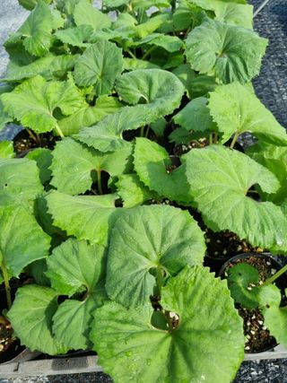 이명숙님의 기타작물 · 자유게시판 작성글 사진