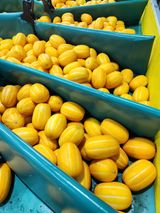 팜모닝 기타작물·영농일지 게시글 이미지