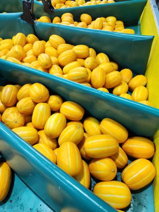 선진참외팜님의 기타작물 · 영농일지 작성글 사진