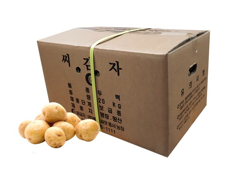 장터 상품 [두백씨감자 강원도 보급종] 썸네일