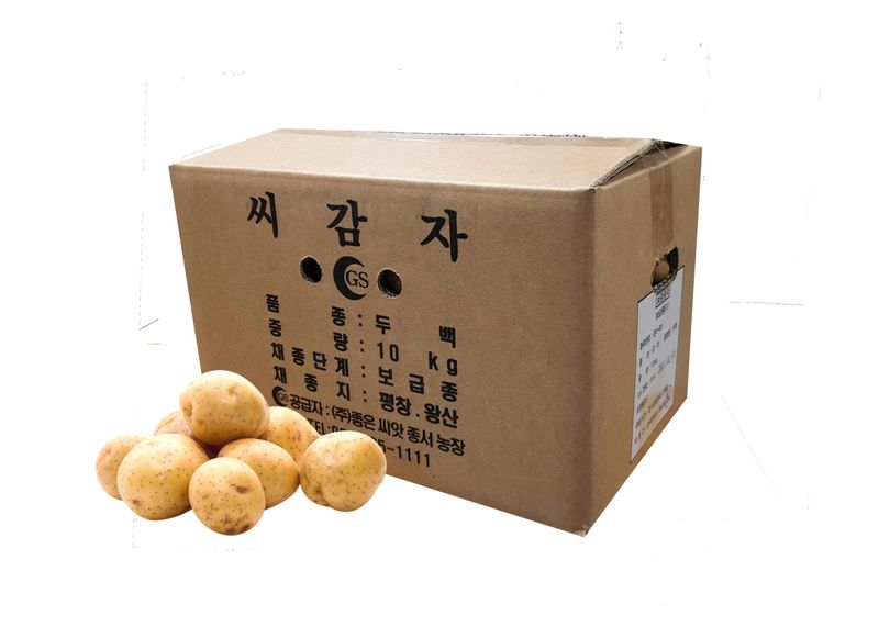 한농농약종묘사님의 장터 판매 상품 [두백씨감자 강원도 보급종] 첨부 사진