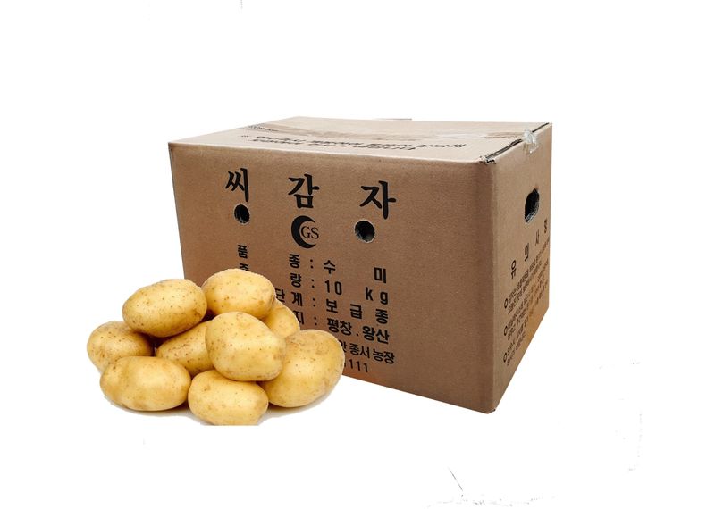 한농농약종묘사님의 장터 판매 상품 [두백씨감자 강원도 보급종] 첨부 사진