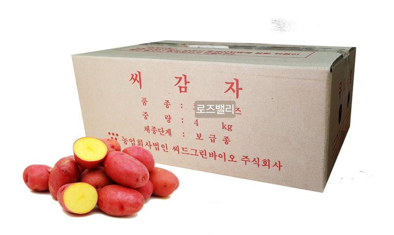 한농농약종묘사님의 장터 판매 상품 [두백씨감자 강원도 보급종] 첨부 사진