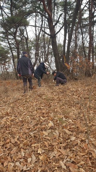 세미골곶감님의 자유주제 · 자유게시판 작성글 사진