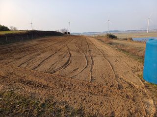 전영일님의 파 · 자유게시판 작성글 사진