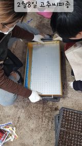 팜모닝 자유주제·자유게시판 게시글 이미지