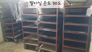 ㄱㅇㄹㄴㅂ님의 자유주제 · 자유게시판 작성글 사진