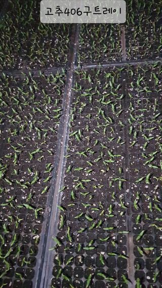 ㄱㅇㄹㄴㅂ님의 자유주제 · 자유게시판 작성글 사진