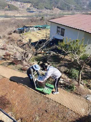 다온아띠농원 장현호님의 자유주제 · 자유게시판 작성글 사진