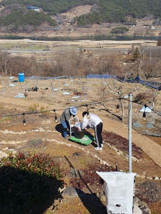 다온아띠농원 장현호님의 자유주제 · 자유게시판 작성글 사진