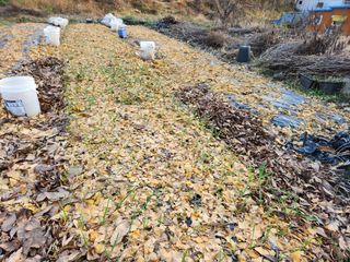 강미화11월출석왕♡님의 함께 일하는 동료는 몇명인가요? · 참여글 작성글 사진