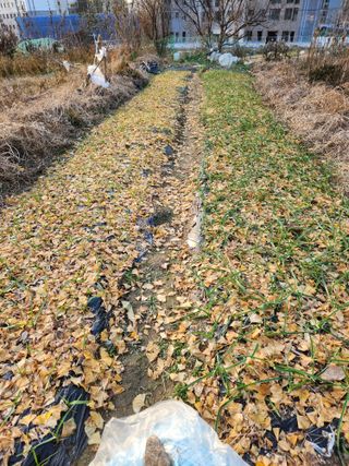 강미화11월출석왕♡님의 함께 일하는 동료는 몇명인가요? · 참여글 작성글 사진