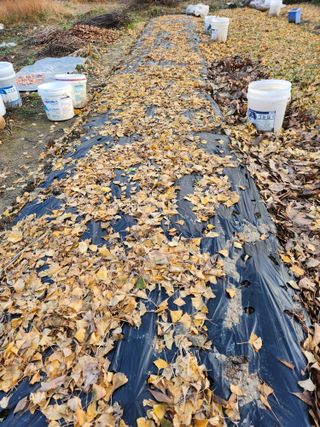 강미화11월출석왕♡님의 함께 일하는 동료는 몇명인가요? · 참여글 작성글 사진