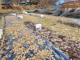 강미화11월출석왕♡님의 함께 일하는 동료는 몇명인가요? · 참여글 작성글 사진