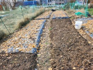 강미화11월출석왕♡님의 함께 일하는 동료는 몇명인가요? · 참여글 작성글 사진